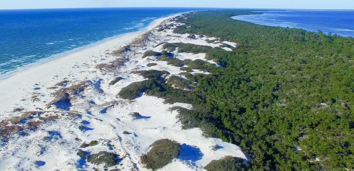 Cape san blas