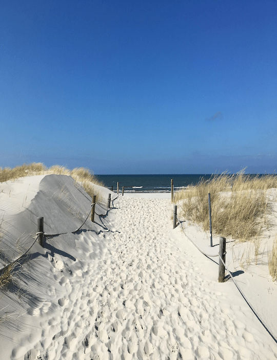 walkway to the beach